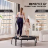 Fitness Rebound Trampoline with Adjustable Handlebar