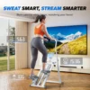 Climbing Stepper Exercise Machine
